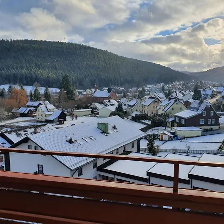 Wohlfuehloase Im Schwarzwald Mit Panoramablick Appartement
